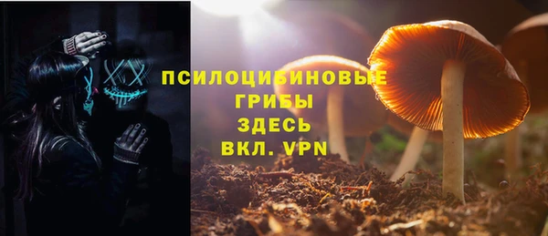 трава Аркадак