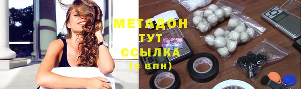 трава Аркадак